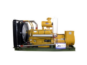  Rental of small generators